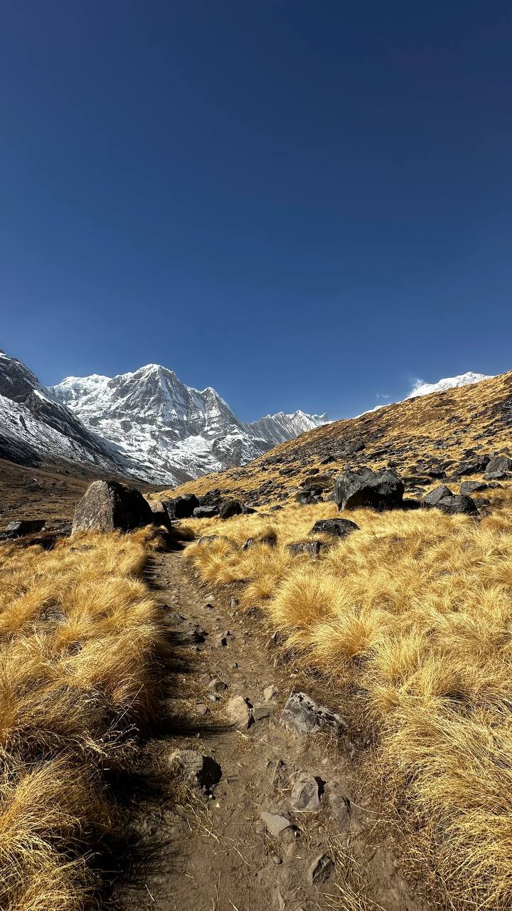 Montagne et plein air